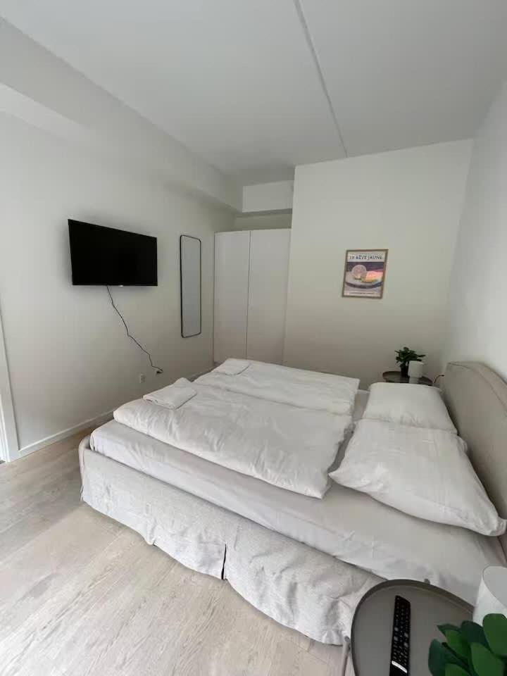 Penthouse In Nordhavn Apartment